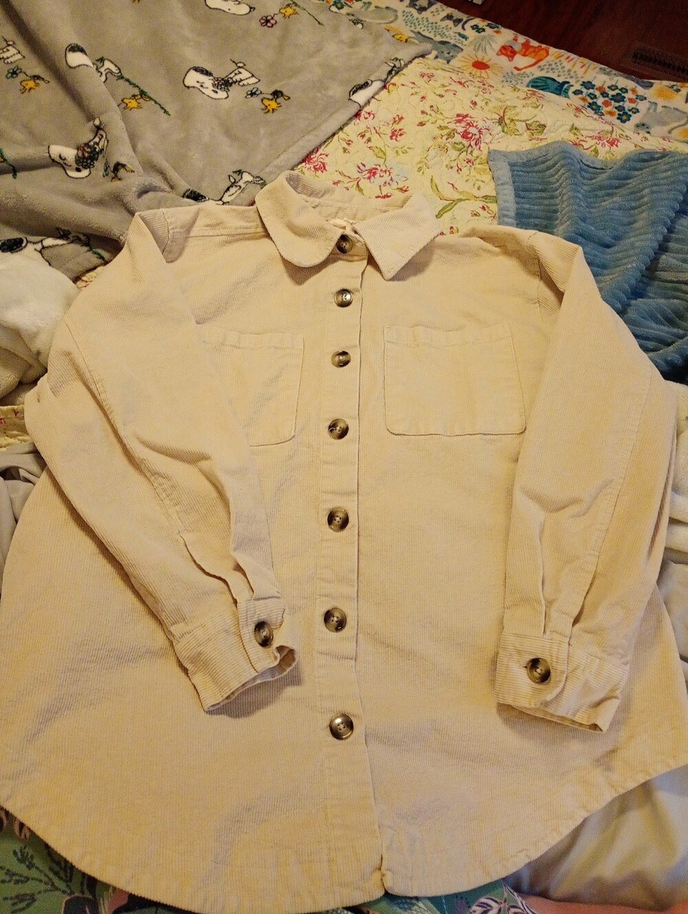 Terra & Sky Cream Solid Corduroy Cotton Button-Up Shirt Size 0X-14W
